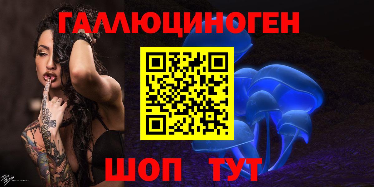 Галлюциногенные грибы Cubensis  Вход с VPN  Кунгур  Псилоцибиновые грибы прущие грибы 